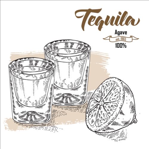 Tequila with lemon hand drawn vector 02 Tequila lemon hand drawn   