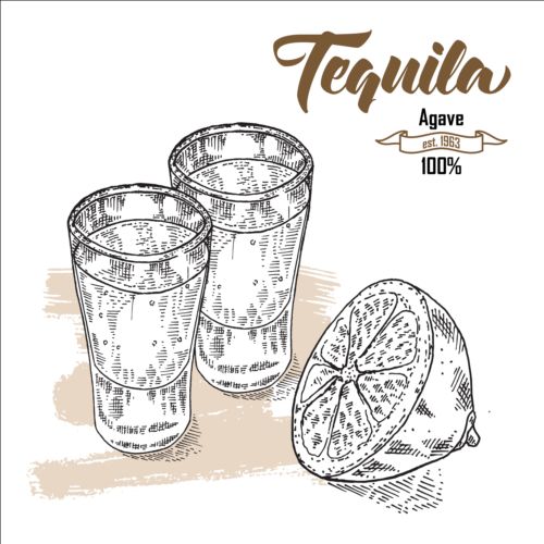 Tequila with lemon hand drawn vector 01 Tequila lemon hand drawn   
