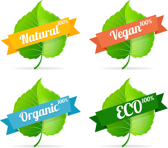 Green leavef with Eco labels vector leave labels green eco   