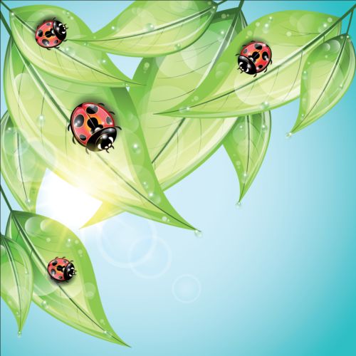ladybug and leaves vector background 03 leaves ladybug background   