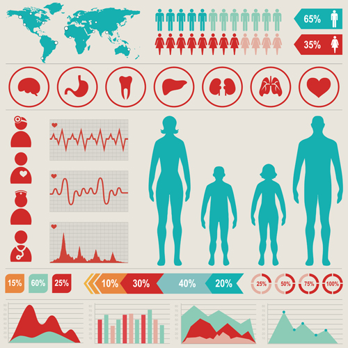 Medical health Infographic template vector 03 medical infographic health   