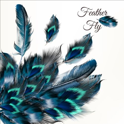 Beautiful feathers art background vector 10 feathers beautiful background   