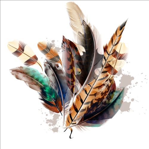 Beautiful feathers art background vector 09 feathers beautiful background   