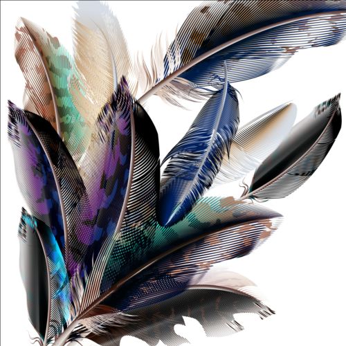 Beautiful feathers art background vector 08 feathers beautiful background   