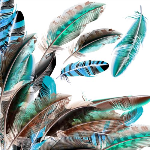 Beautiful feathers art background vector 07 feathers beautiful background   