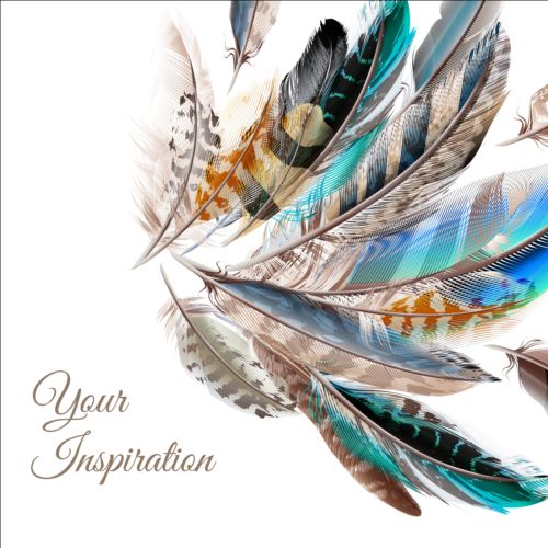 Beautiful feathers art background vector 06 feathers beautiful background   