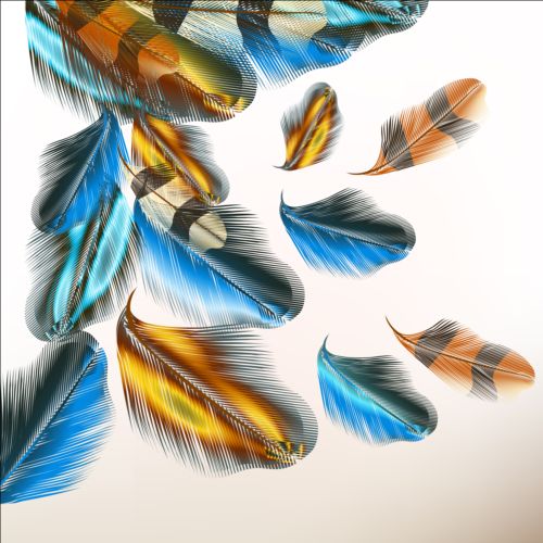 Beautiful feathers art background vector 05 feathers beautiful background   