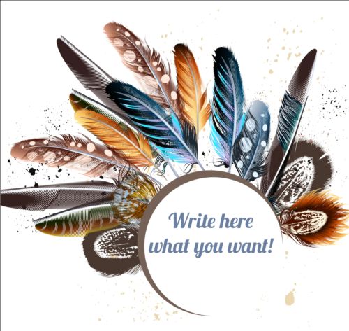 Beautiful feathers art background vector 02 feathers beautiful background   