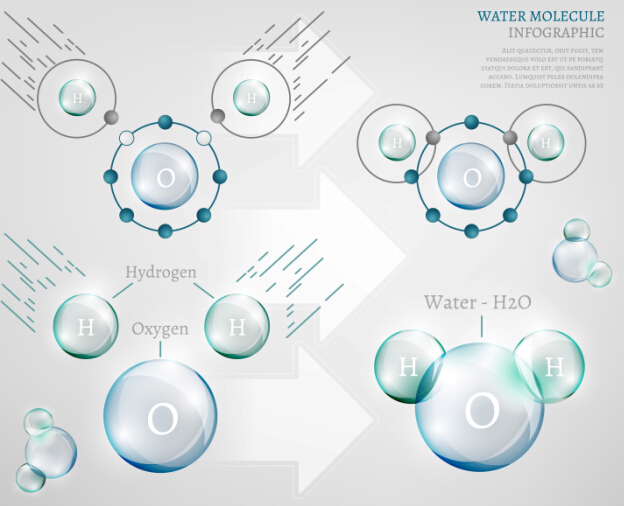 Water molecule infographics creative vectors set 09 water molecule infographics   