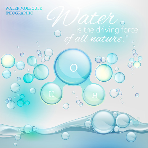 Water molecule infographics creative vectors set 06 water molecule infographics   