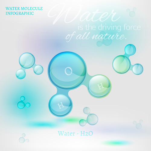 Water molecule infographics creative vectors set 05 water molecule infographics   