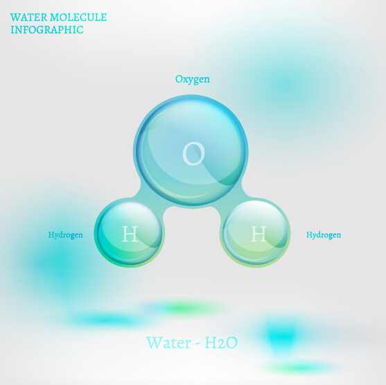 Water molecule infographics creative vectors set 04 water molecule infographics   