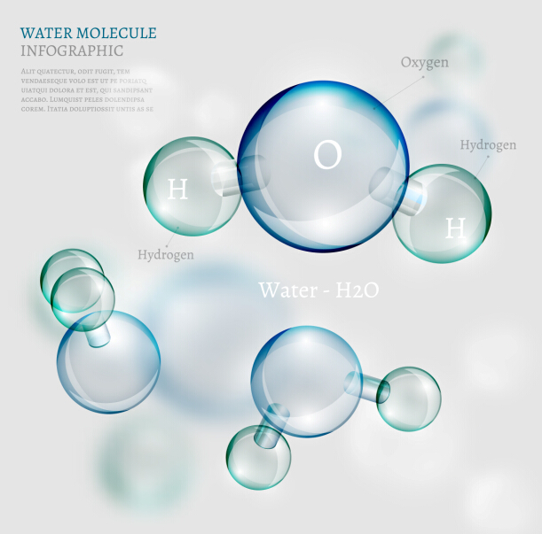 Water molecule infographics creative vectors set 13 water molecule infographics   