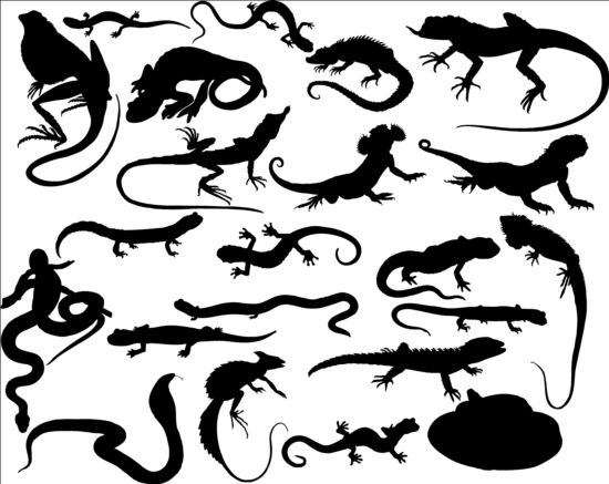 Free reptiles silhouetter vector 02 silhouetter reptiles free   