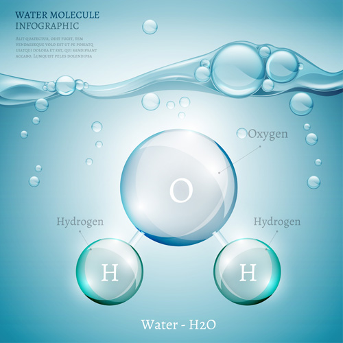 Water molecule infographics creative vectors set 03 water molecule infographics   