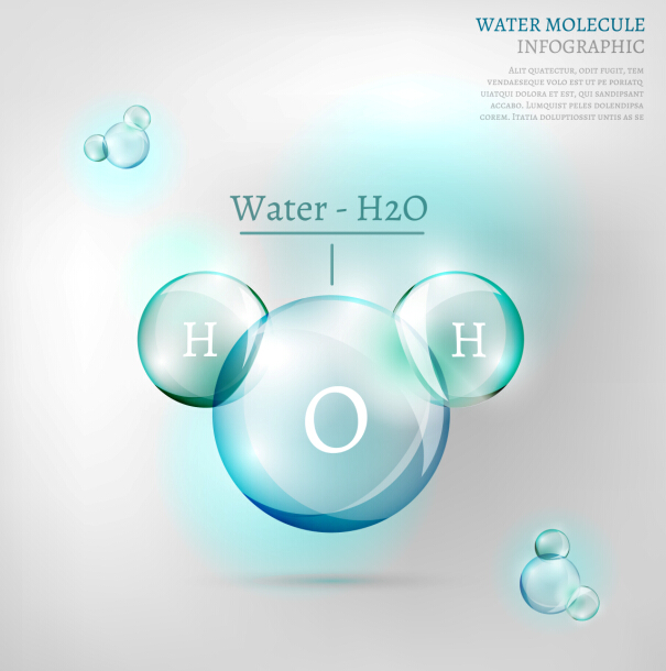 Water molecule infographics creative vectors set 10 water molecule infographics   