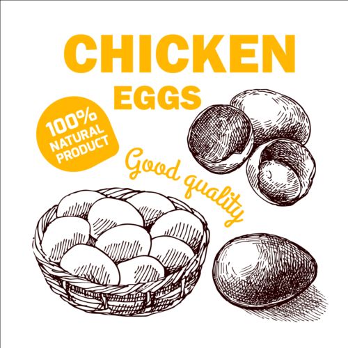 Hand drawn chicken eggs poster vector 01 poster hand eggs drawn chicken   