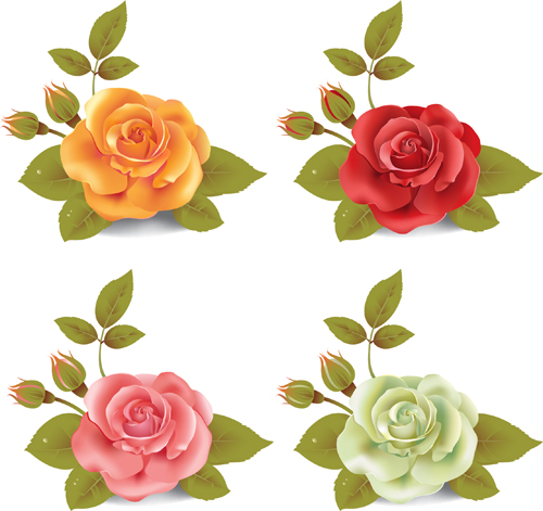 Different colored rose vector material 02 rose different colored   
