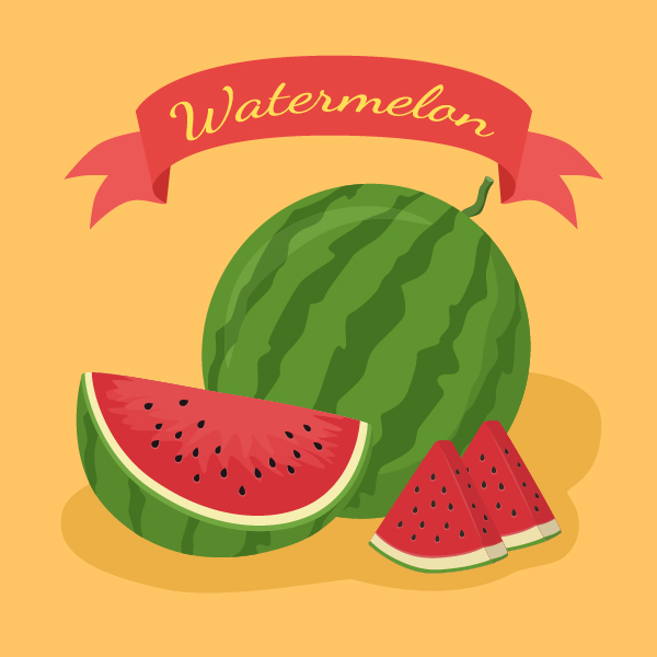 Fresh watermelon vector material 04 watermelon fresh   