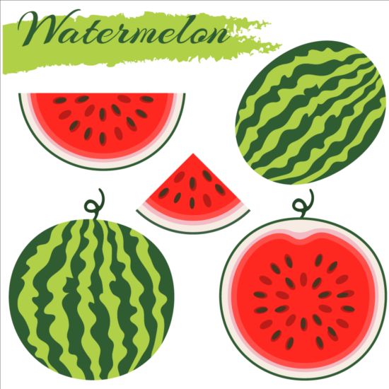 Fresh watermelon vector material 03 watermelon fresh   