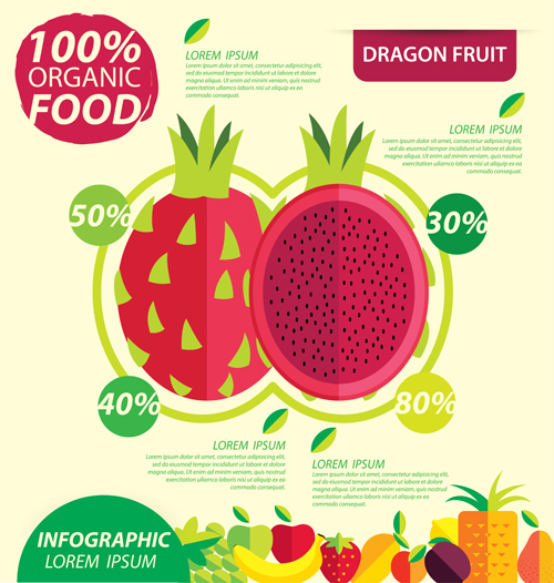 Flat fruits infographic vectors template 06 template infographic fruits flat   