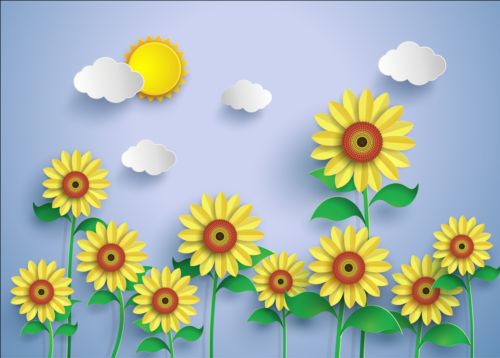 Sunflower and white cloud vector white sunflower cloud   