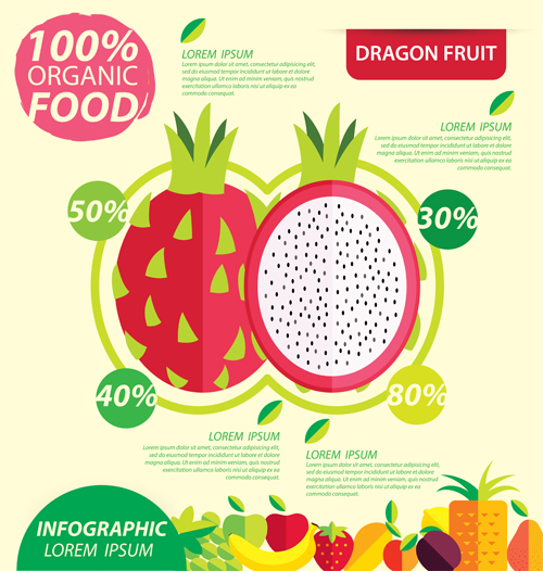 Flat fruits infographic vectors template 04 template infographic fruits flat   