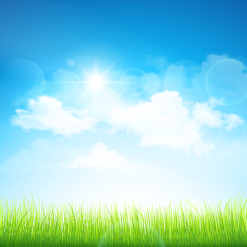 Grass with blue sky spring vectors 10 spring grass blue   
