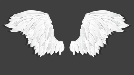 White wings vector material 02 wings white   