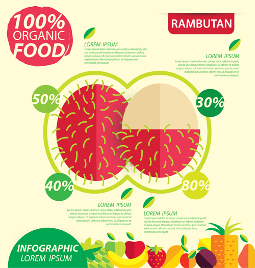 Flat fruits infographic vectors template 02 template infographic fruits flat   