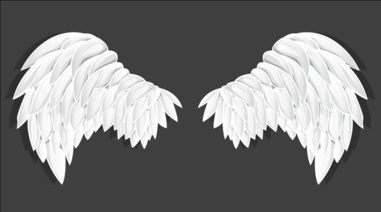 White wings vector material 01 wings white   