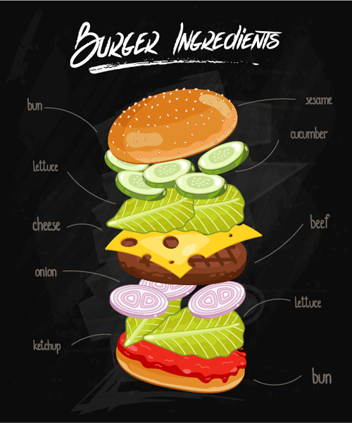 Burger Ingredients design vector 01 ingredients design burger   