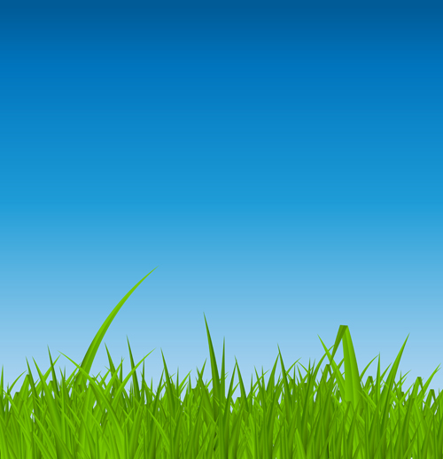 Grass with blue sky spring vectors 06 spring grass blue   