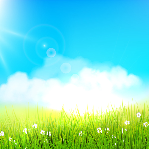 Grass with blue sky spring vectors 03 spring grass blue   