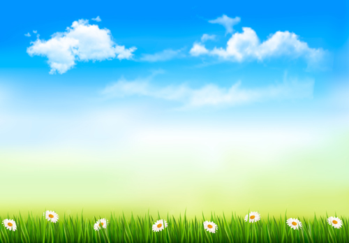 Grass with blue sky spring vectors 01 spring grass blue   