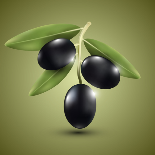 Purple olives vector material purple olives   